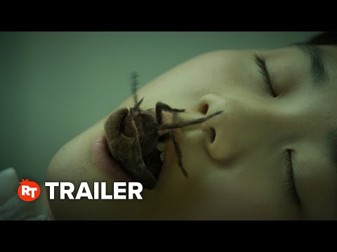 Трейлер