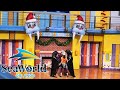Sea Lion High The Christmas Special 2020 SeaWorld Orlando