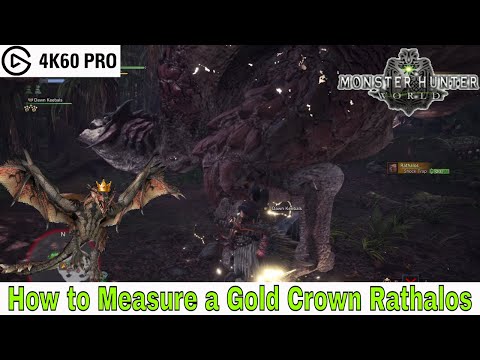 Monster Hunter: World - How to Measure a Gold Crown Rathalos Video