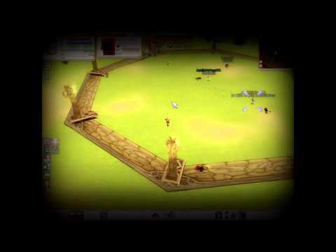 FLYFF HW DE PASSAGE  - FOR FUN DANS L' ARENE