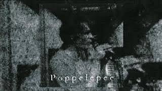 Reverend Cor Gout vs Salò Mentale vs Unit Moebius - Poppelepee (Full Album)