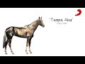 Tanpa Aku Panji Sakti Official Lyric