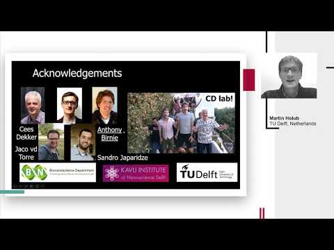 M. Holub,  "Genome-in-a-box: Unraveling the spatio-temporal DNA organization from the bottom-up"