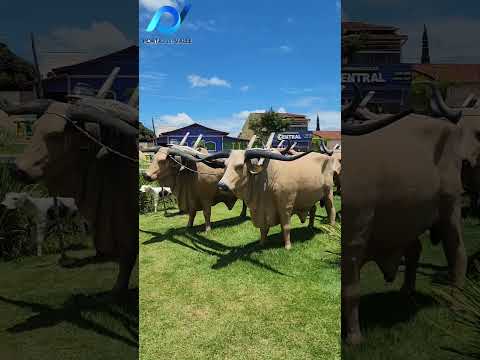 PROJETO CONHECENDO GOIÁS. Nossa reportagem esteve na Cidade de Ouro Verde, as margens da GO-330