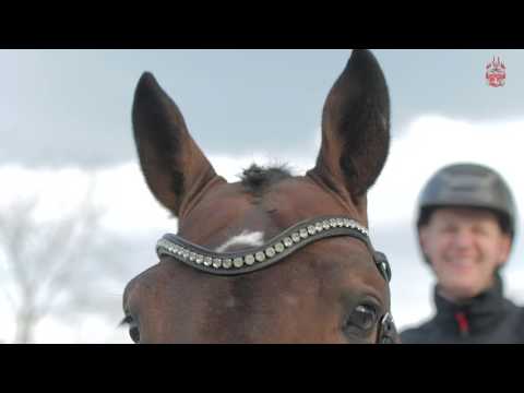 Foundation (Fidermark x De Vito)