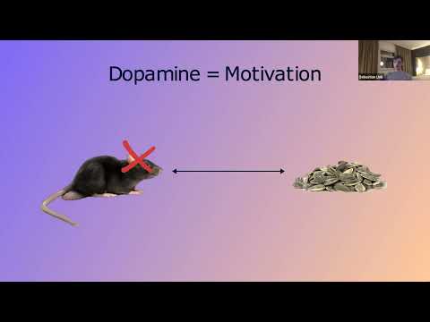 Focus and how to make work Addictive - Sebastian Link for investment mastermind 29.5.2022