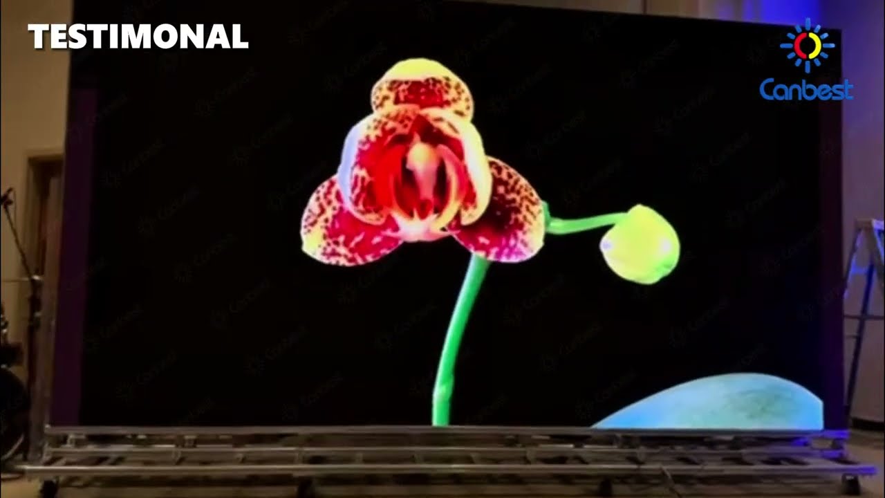 Featured Client Review