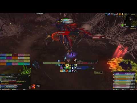 Serious Guild Name vs Elerethe Renferal Mythic Hunter PoV