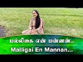 QUARANTINE FROM REALITY MALLIGAI EN MANNAN DHEERGA SUMANGALI Episode 476