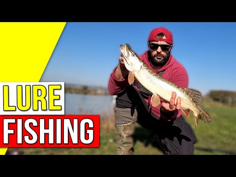 Pike and Zander Lure Fishing On A Tough Flooded River