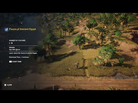 Fauna of Ancient Egypt - Discovery Tour: Ancient Egypt - Assassin's Creed Origins