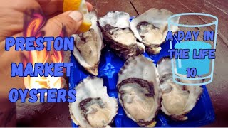OYSTERS AT PRESTON MARKET MELBOURNE - a day in THE LIFE 10