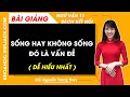 Sống hay không sống đó là vấn đề Ngữ văn 11 Kết nối tri thức