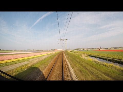 Trein Cabinerit / Bloemenvelden / Den Helder – Alkmaar / VIRM Intercity / Mei 2017