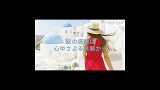 ベルトラ_通年1:1