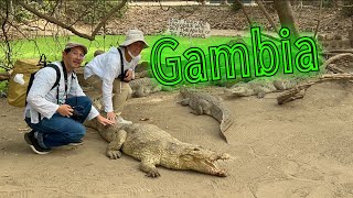 クロコダイルプールに行ってきた！Crocodile Pool in Gambia