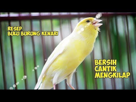 Bagaimana untuk memperbesar penis Anda porno Meningkatkan potensi tanpa meningkatkan tekanan