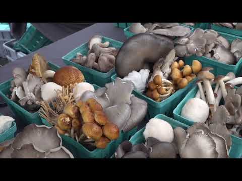 Highland Park Farmers Market Mushrooms