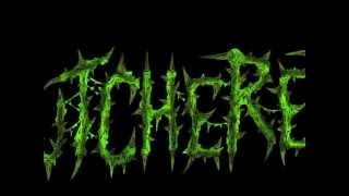 Butchered Head From The Rotting Dead