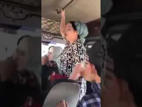 Точико гояк гояк