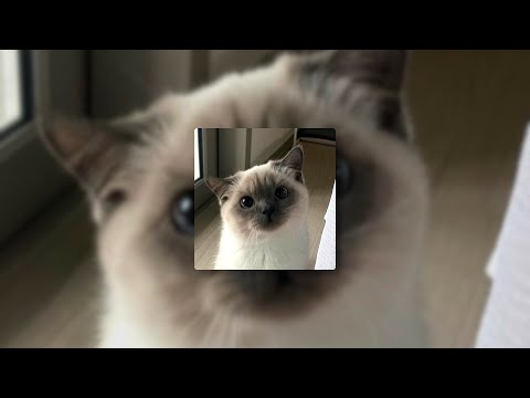 Love Death and Robots // Alec Benjamin - Let me down slowly // slowed & reverb