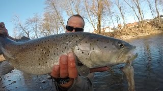 Quest For The Hucho - Fishing