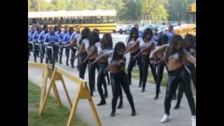 Stephenson High School Marching Band 2011