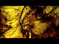 Dextro - Momentary 