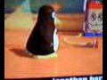 Funny Toy Story Bloopers
