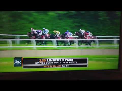 Lingfield Derby Trial 2018- Knight to behold