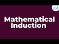Principle Of Mathematical Induction Don T Memorise