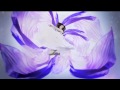 Flower 『太陽と向日葵』 