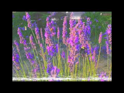 April Sky by Sebastian Forslund