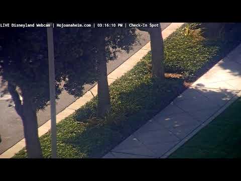 Live webcam of Disneyland Cam