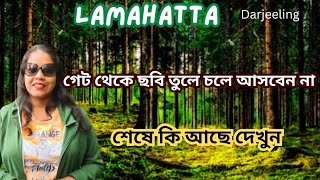 Lamahatta,Darjeeling.Lamahatta.Lamahatta eco park.Lamahatta tour.Darjeeling lamahatta.#darjeeling