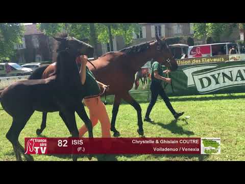 Sprinter Sacré Show 2018 : Lot 82 - ISIS