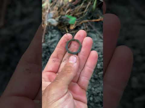 Exploring an Abandoned Slave Plantation!