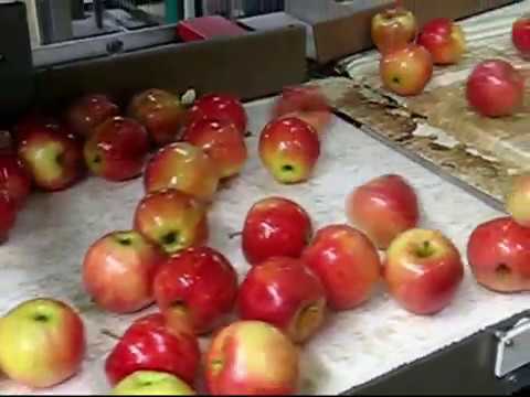 CEDAX srl - Ceratrice solvente