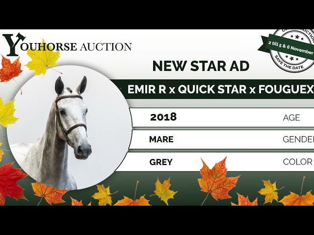 New Star showvideo outdoor