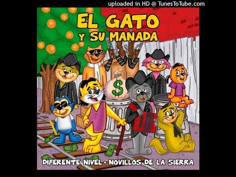 Diferente Nivel - El Gato y Su Manada Ft Novillos De La Sierra (2024)