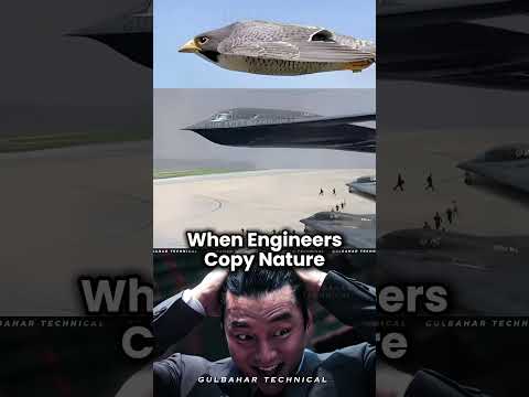 B‑2 Spirit vs Peregrine Falcon: Biomimicry in Action 🦅 | Stealth Bomber Inspired by Nature 🌍