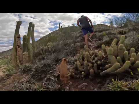 Cerro SAN NICOLAS ( Chilecito - La Rioja )