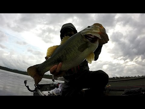 Magnum Lizards Catch Magnum Bass - Spring Bass Fishing
