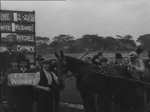 Trotting Match at Springfield Park, Wigan