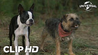 Clip - Las reglas de Bug