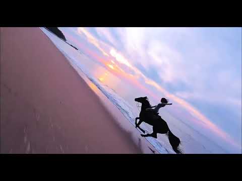 #This must be the feeling of flying#Ten thousand horses galloping#Horse racing#The Year of