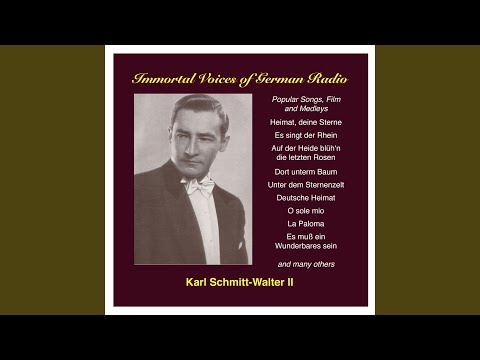 Quax, der Bruchpilot: Heimat deine Sterne