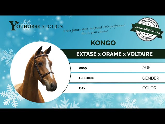 Kongo showvideo grass Valkenswaard