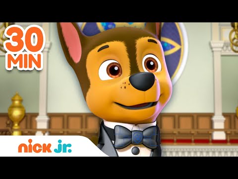 PAW Patrol Chase Undercover Pup Rescues! w/ Marshall & Rubble | 30 Minute Compilation | Nick Jr.