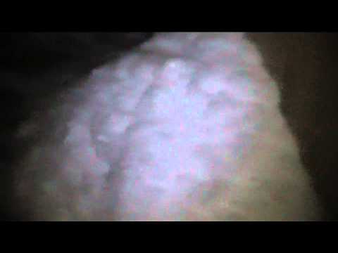 Huhu mika ilma aamulla niin hyvä ilma